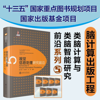 《视觉信息处理研究前沿查红彬刘成林吴思类脑计算与类脑智能研究前沿系列》[78M]百度网盘|pdf下载|亲测有效