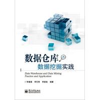 《数据仓库与数据挖掘实践》[60M]百度网盘|pdf下载|亲测有效