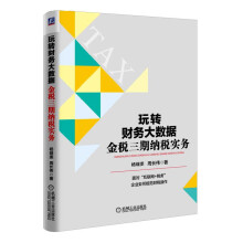 《玩转财务大数据:金税三期纳税实务》[67M]百度网盘|pdf下载|亲测有效