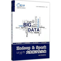 《Hadoop&Spark大数据开发实战》[60M]百度网盘|pdf下载|亲测有效