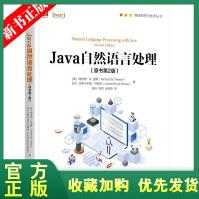 《全新Java自然语言处理程序设计智能与技术丛书语言分析LP神经网络机器翻译》[82M]百度网盘|pdf下载|亲测有效
