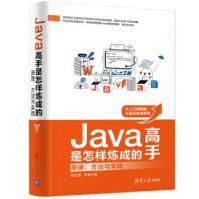 《Java高手是怎样炼成的:原理.方法与实践》[76M]百度网盘|pdf下载|亲测有效