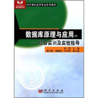 《非计算机应用专业系列教材·数据库原理与应用：项目实训及实验指导》[51M]百度网盘|pdf下载|亲测有效