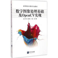 《数字图像处理基础及OpenCV实现》[53M]百度网盘|pdf下载|亲测有效