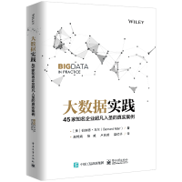 《大数据实践：家知名企业超凡入圣的真实案例》[50M]百度网盘|pdf下载|亲测有效