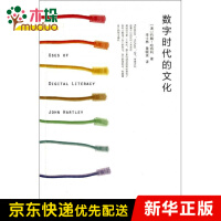 《数字时代的文化》[89M]百度网盘|pdf下载|亲测有效