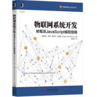 《物联网开发:树莓派JavaScript编程指南》[44M]百度网盘|亲测有效|pdf下载