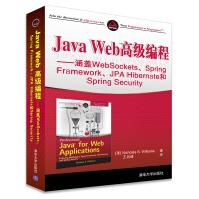 《JavaWeb高级编程-涵盖WebSockets.SpringFrame》[21M]百度网盘|亲测有效|pdf下载