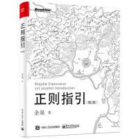 《正则指引》[54M]百度网盘|亲测有效|pdf下载