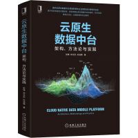 《云原生数据中台架构、方法论与实践》[55M]百度网盘|亲测有效|pdf下载