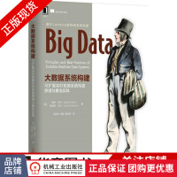 《大数据系统构建：可扩展实时数据系统构建原理与最佳实践》[58M]百度网盘|亲测有效|pdf下载