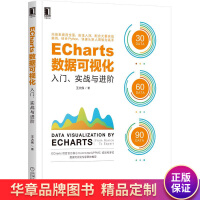 《ECharts数据可视化:入门、实战与进阶王大伟》[55M]百度网盘|亲测有效|pdf下载